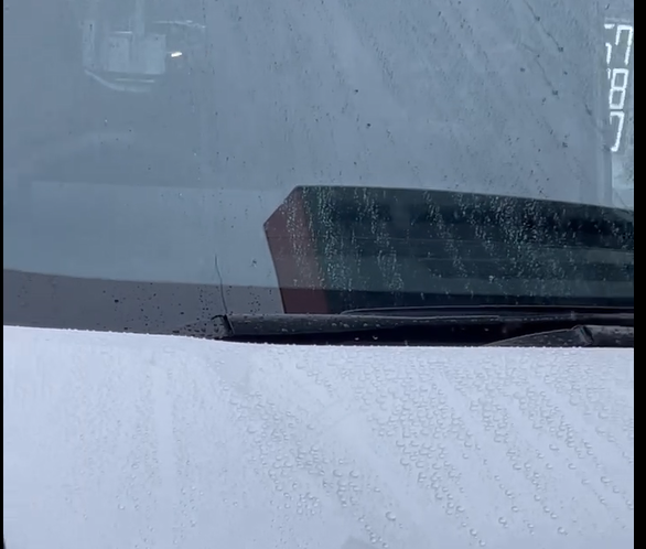 洗車後のフロントボディ